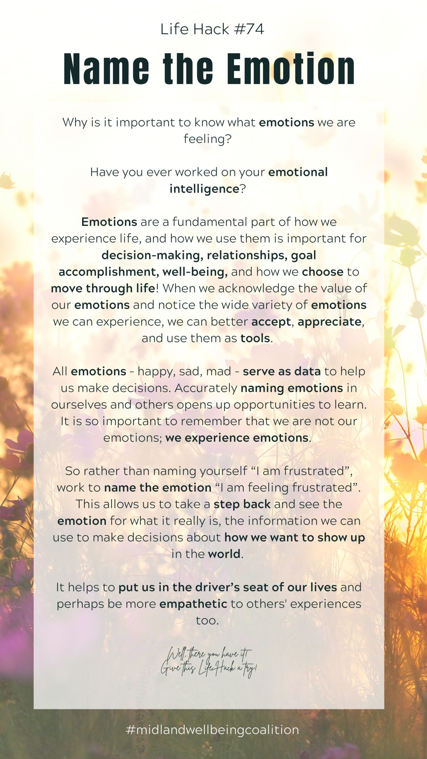 Life Hack #74: Name the Emotion from the Midland Area Wellbeing Coalition in Midland, MI.
